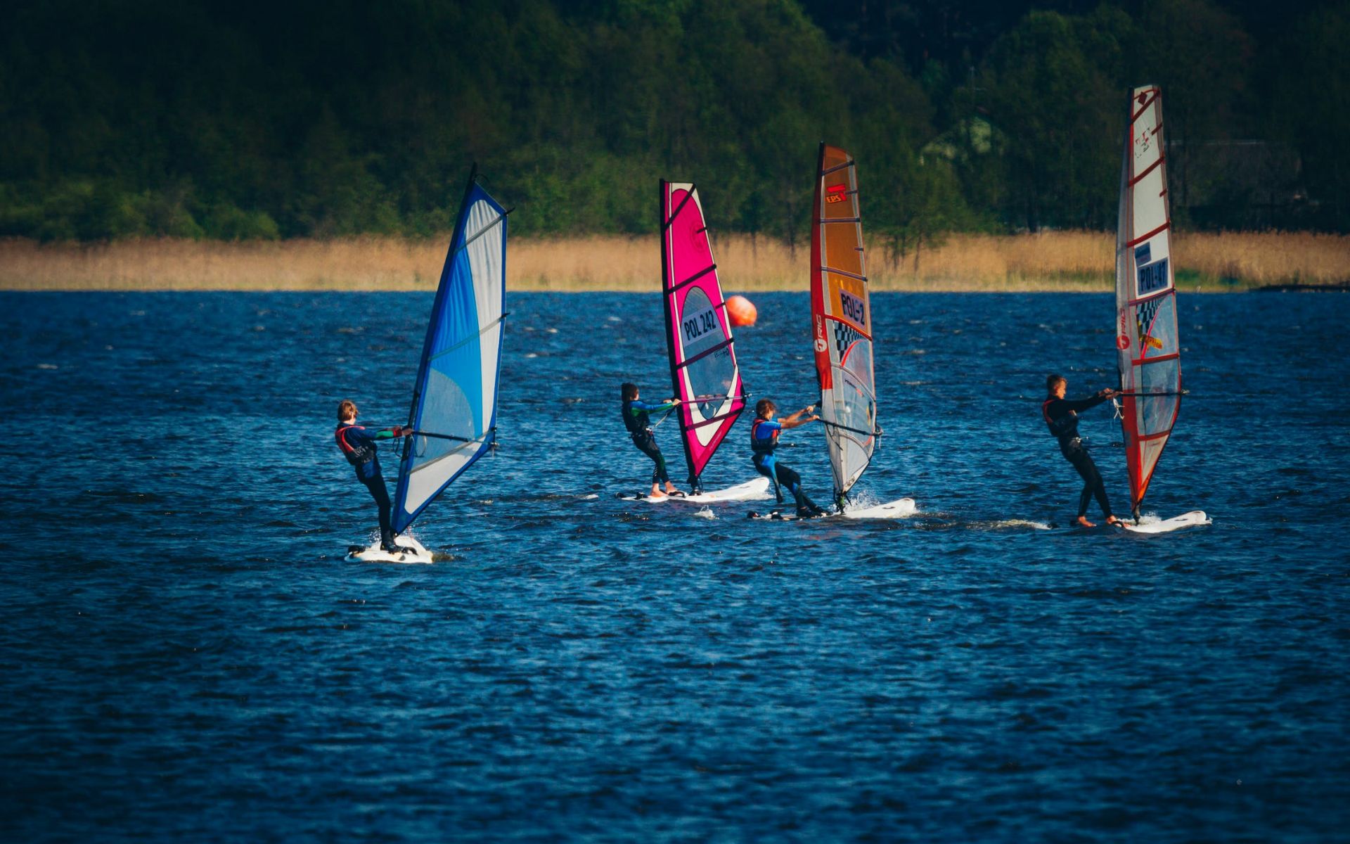 Planche à voile